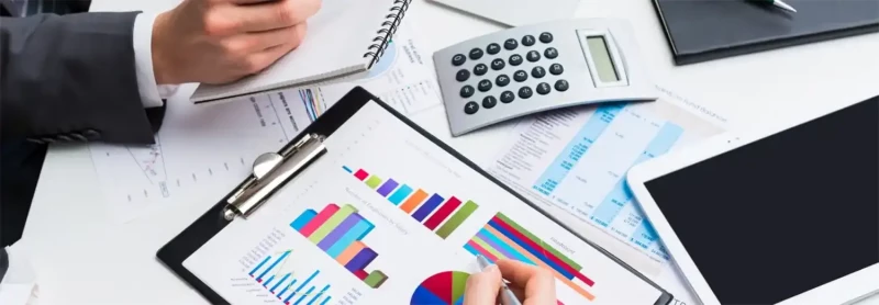 Interim Accounting Director