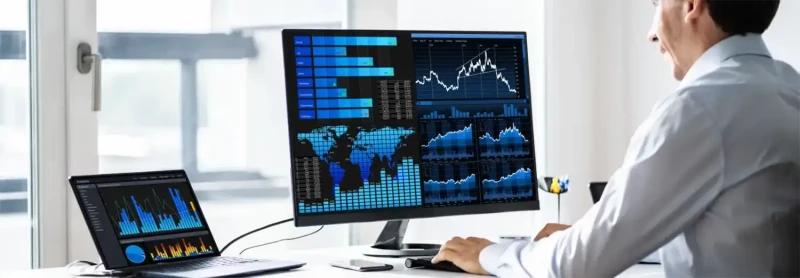 Interim Chief Information Officer