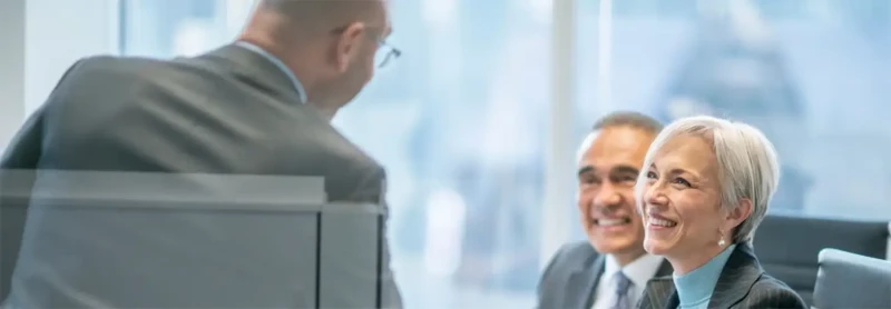 Interim Purchasing Director