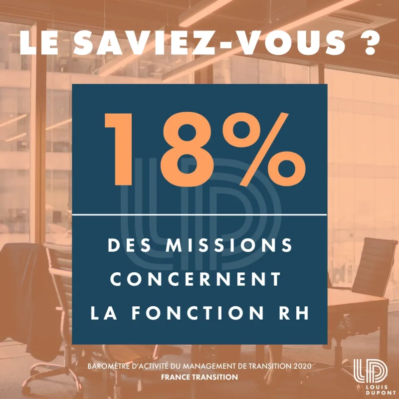 Which functions are most concerned by interim management assignments?